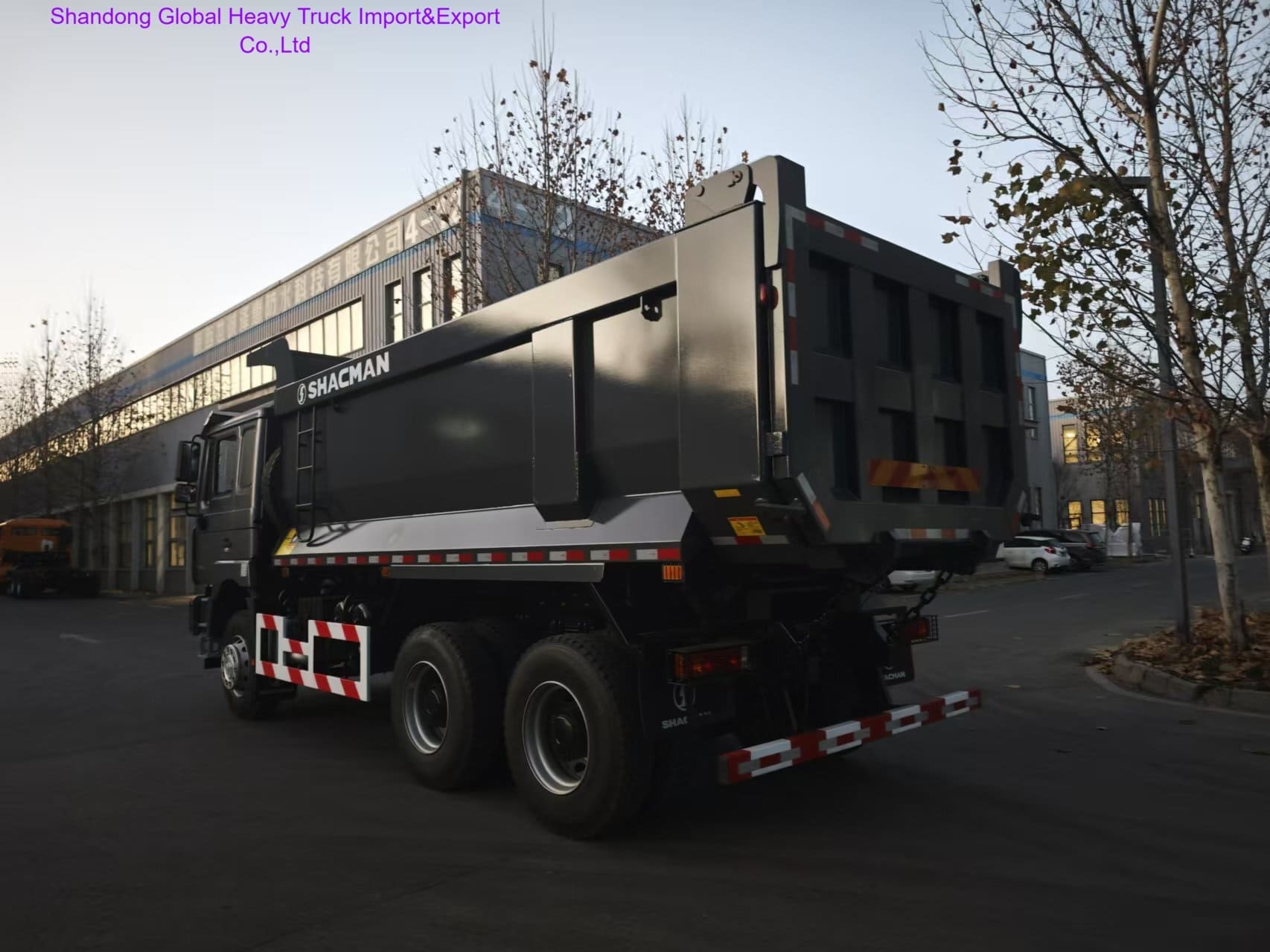 Shacman X3000 F3000 Sitrak Dongfeng JAC Benz Sinotruk HOWO Truck LHD/Rhd Dump Truck Mining Dump Truck